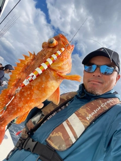 チカメキントキの釣果