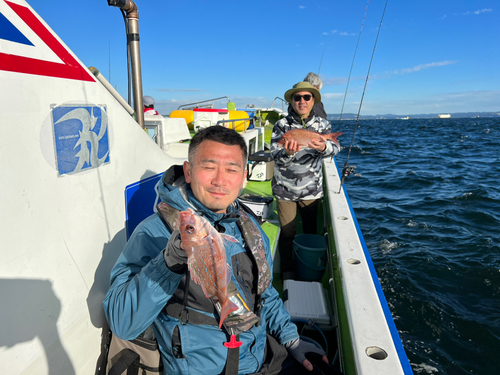 マダイの釣果