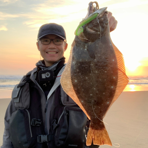 ヒラメの釣果