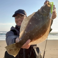 ヒラメの釣果