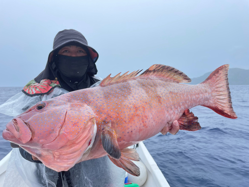 クルバニーアカジンの釣果