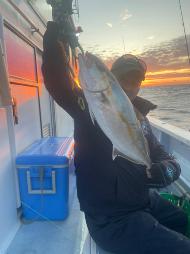 カンパチの釣果