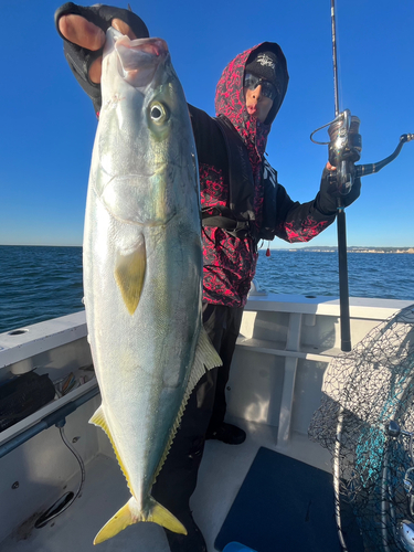 ワラサの釣果