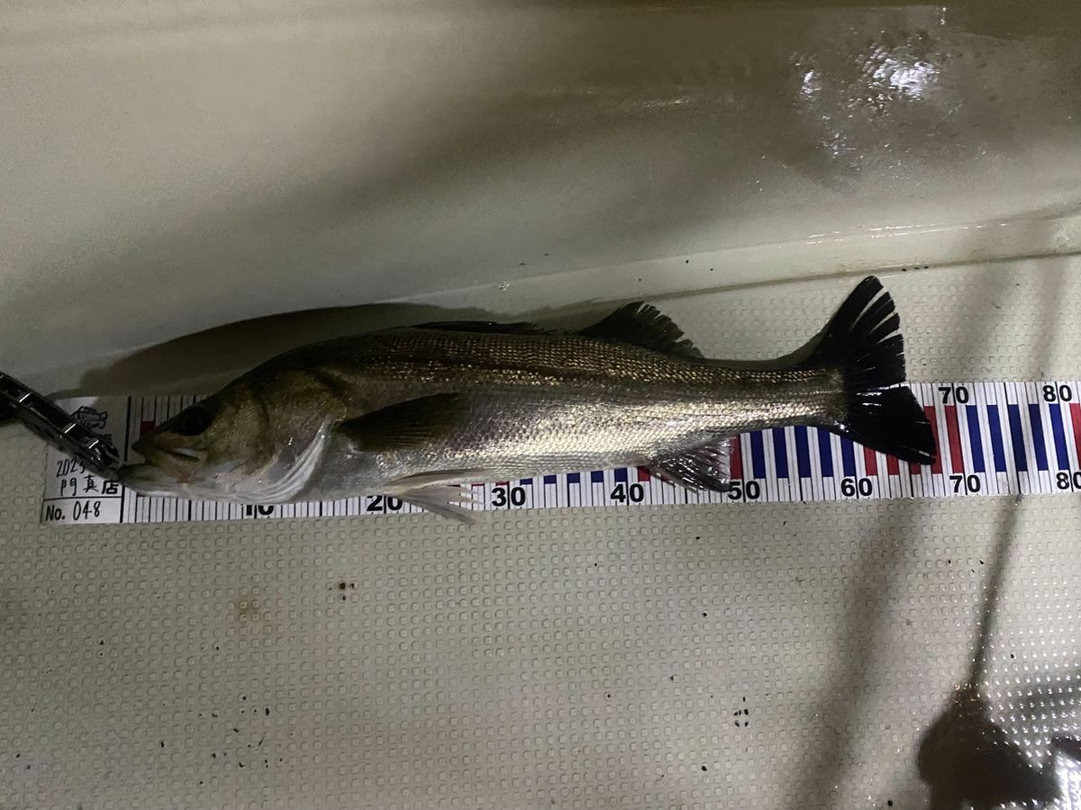 ユキちゃんさんの釣果 2枚目の画像