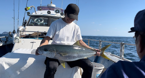 ヒラマサの釣果