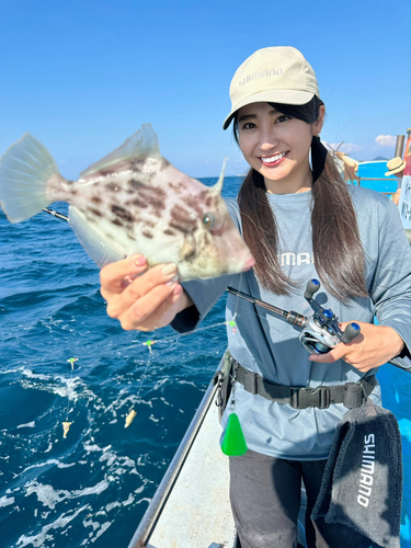 カワハギの釣果