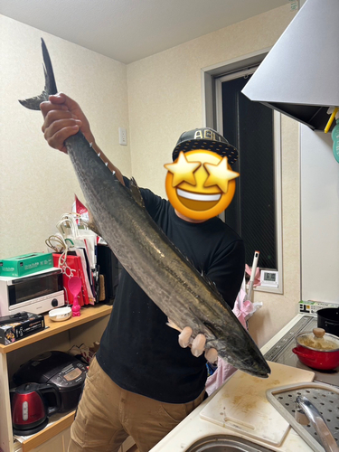 サワラの釣果