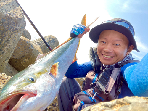 ブリの釣果