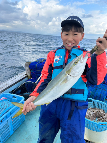 ブリの釣果