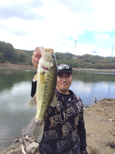 ラージマウスバスの釣果