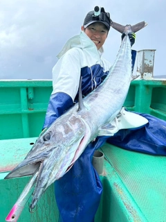 カマスサワラの釣果