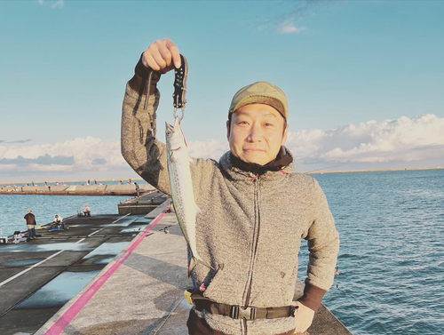 イナダの釣果