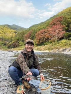 ニジマスの釣果