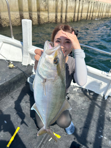 シオの釣果