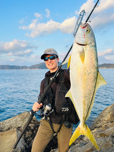 ヒラマサの釣果