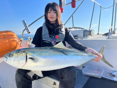 ブリの釣果