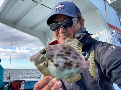 カワハギの釣果