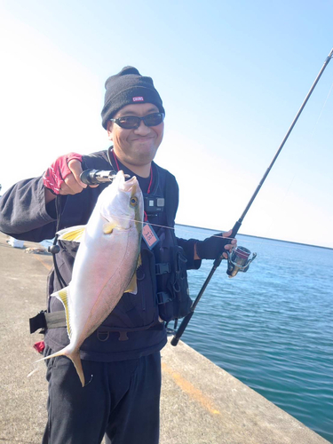 ショゴの釣果