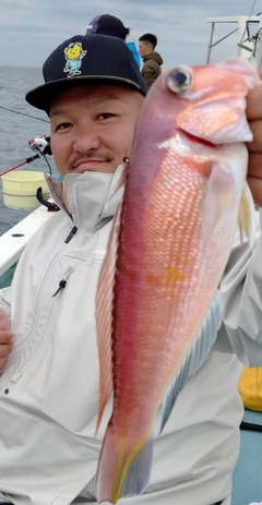 アマダイの釣果