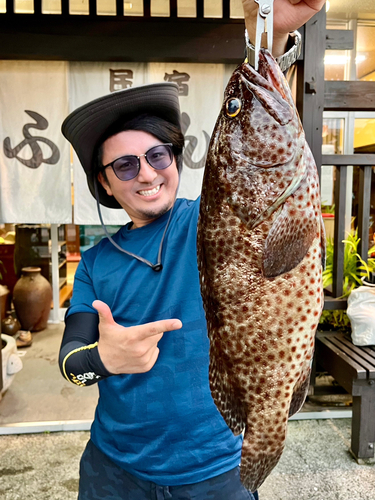 ヒトミハタの釣果