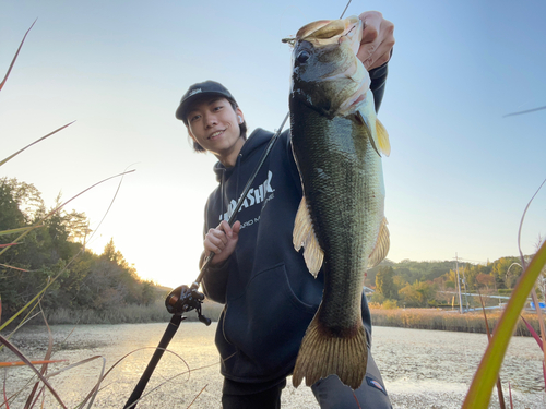 ブラックバスの釣果