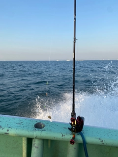 カワハギの釣果