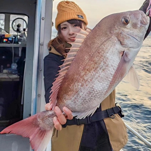 マダイの釣果