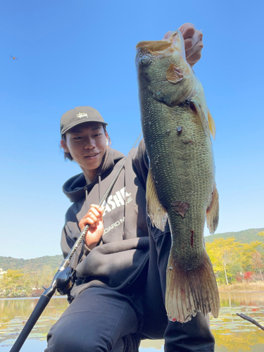 ブラックバスの釣果