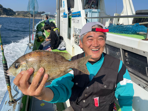 メイチダイの釣果