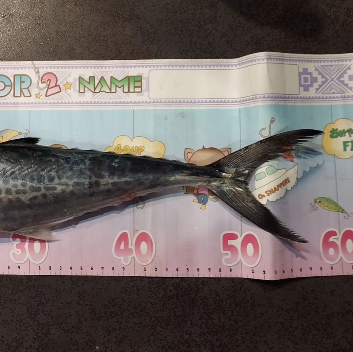 つりさゆさんの釣果 3枚目の画像