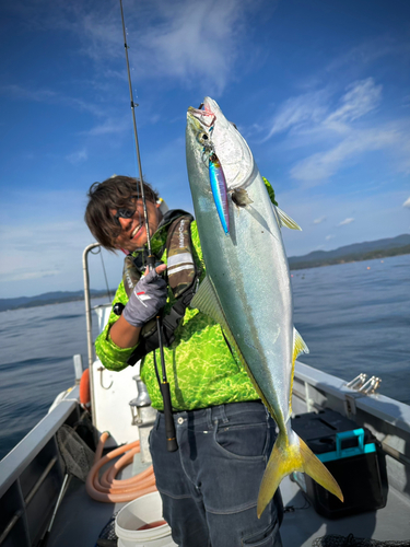 ワラサの釣果