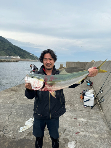 ヤズの釣果