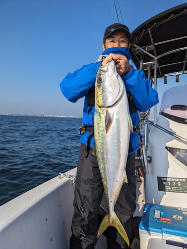 ブリの釣果