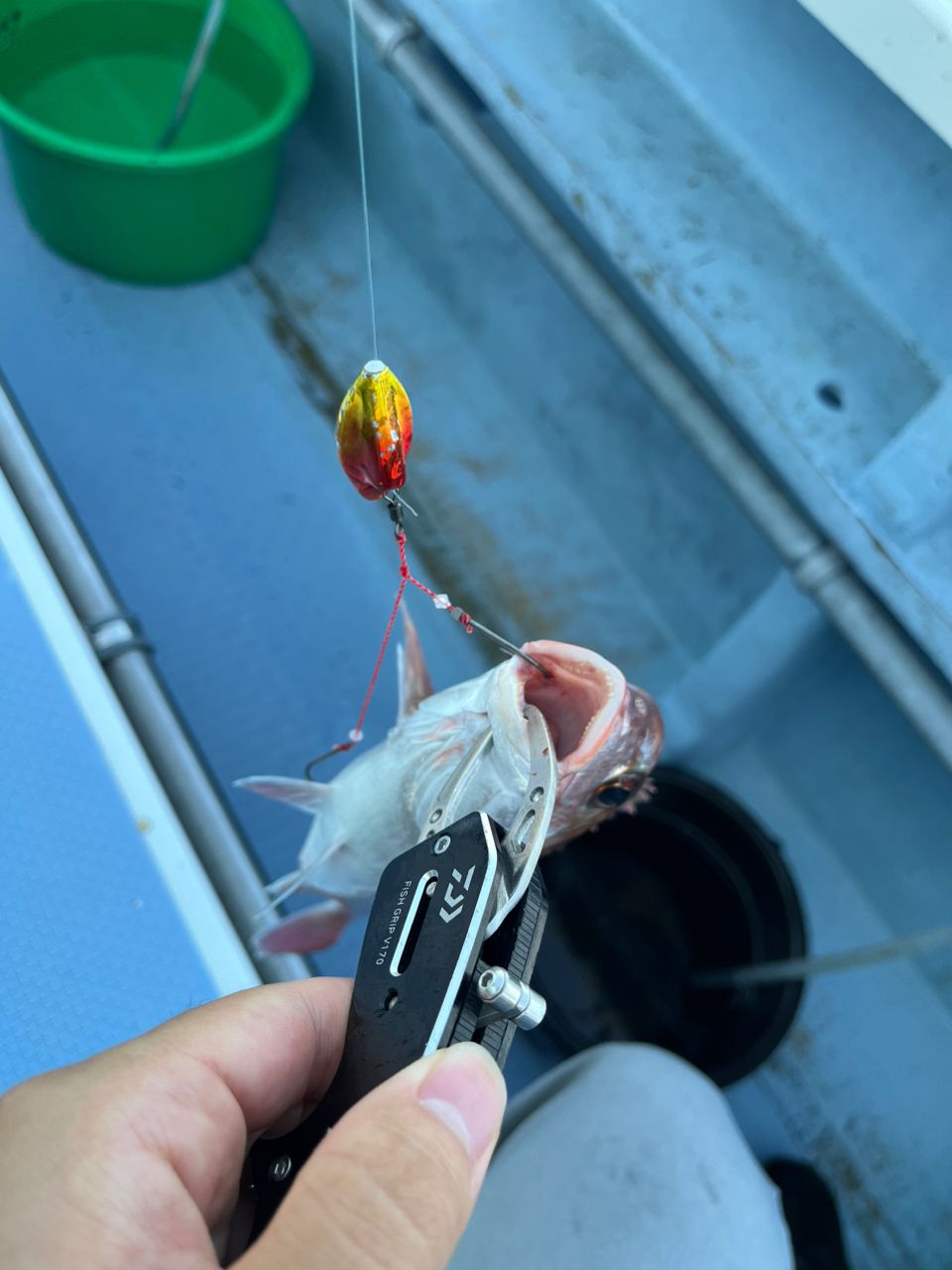 こんちゃん9029さんの釣果 3枚目の画像