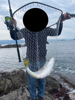 ヤズの釣果