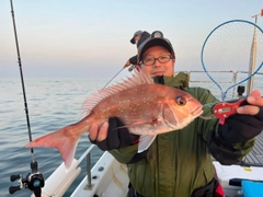 マダイの釣果