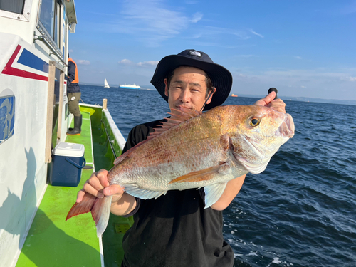 マダイの釣果