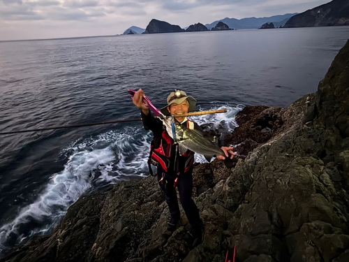 ヒラスズキの釣果