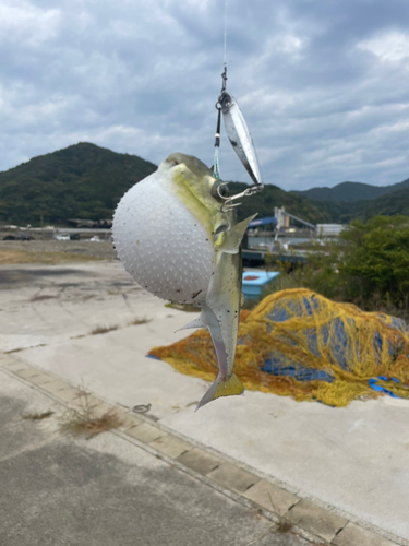 釣果