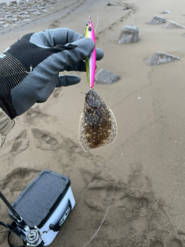 ソゲの釣果