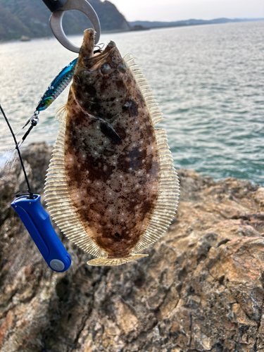 ヒラメの釣果