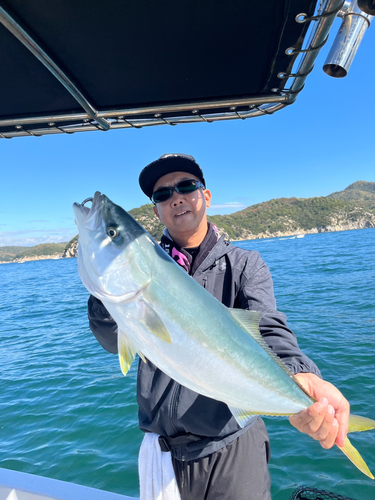 ハマチの釣果