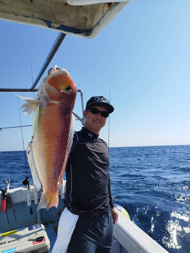 アマダイの釣果