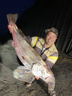 オオニベの釣果