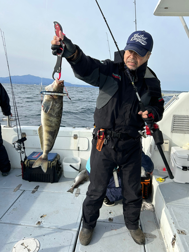 ホッケの釣果