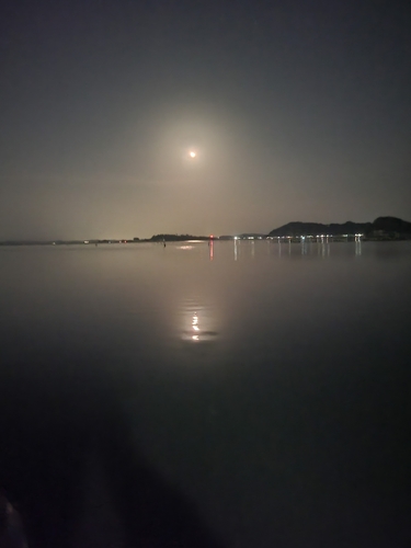 アナゴの釣果