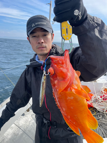 アカハタの釣果