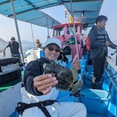 カワハギの釣果