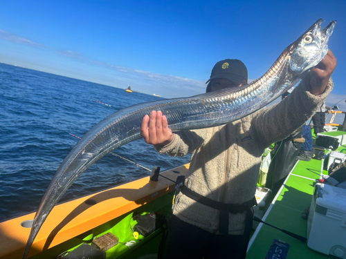 タチウオの釣果