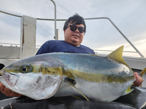 ヒラマサの釣果